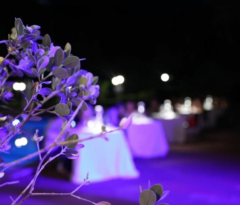 Serata MasterChef con Dj Set 7 luglio 2022 ph Militello