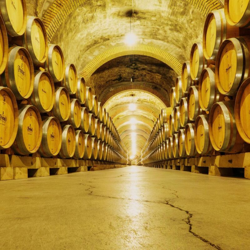 Corso di Degustazione