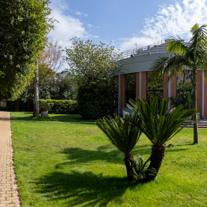 Elezioni Ct Palermo quadriennio 2025 – 2028