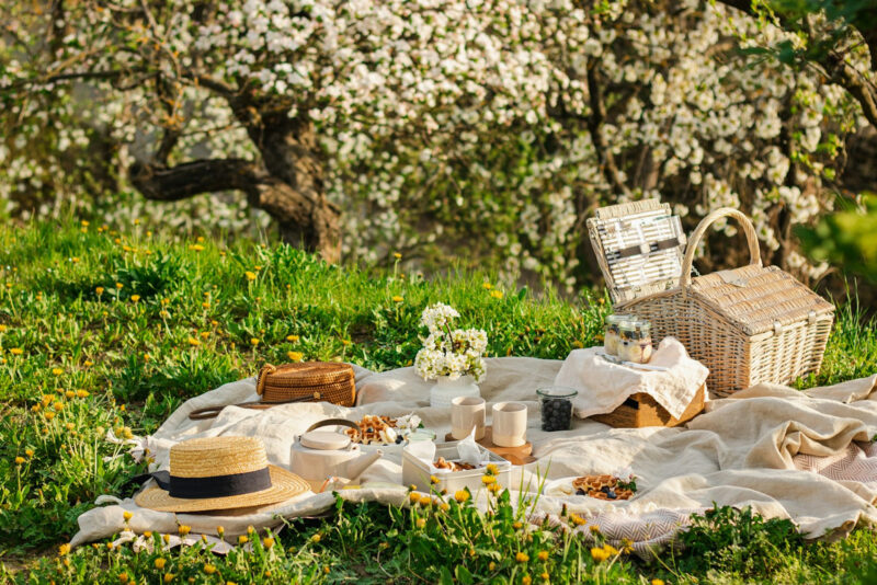 Pic-Nic sul prato in stile anni 30