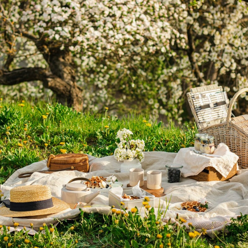 Pic-Nic sul prato in stile anni 30